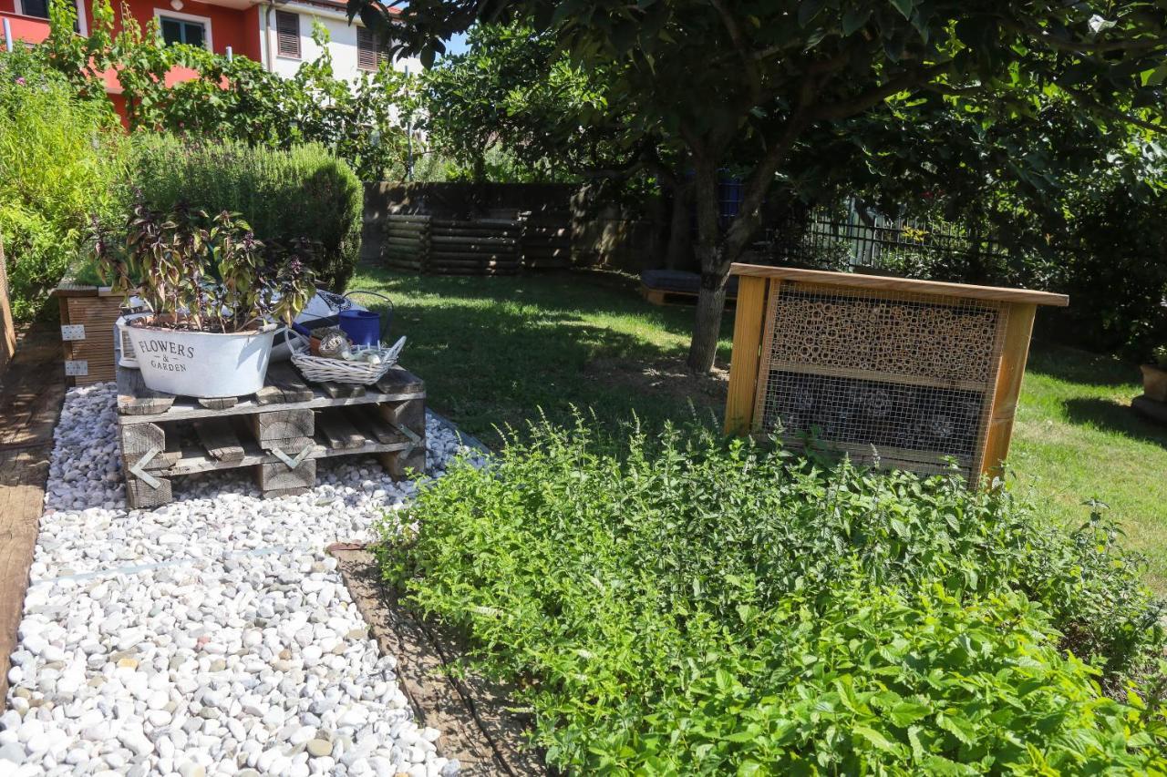 Healthy House Glamping Campeggio *