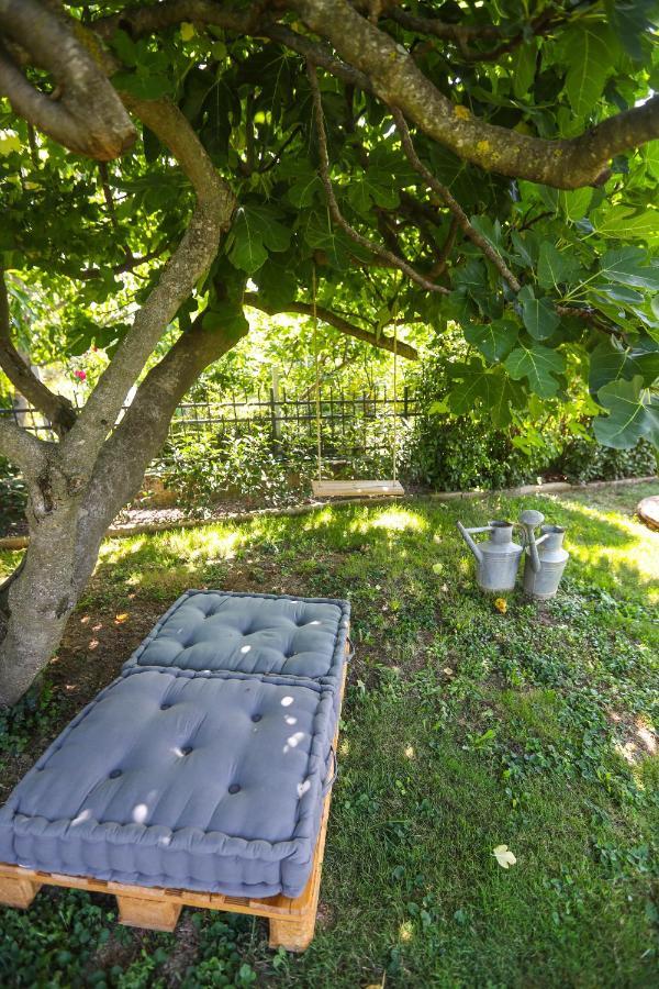 Healthy House Glamping Campeggio