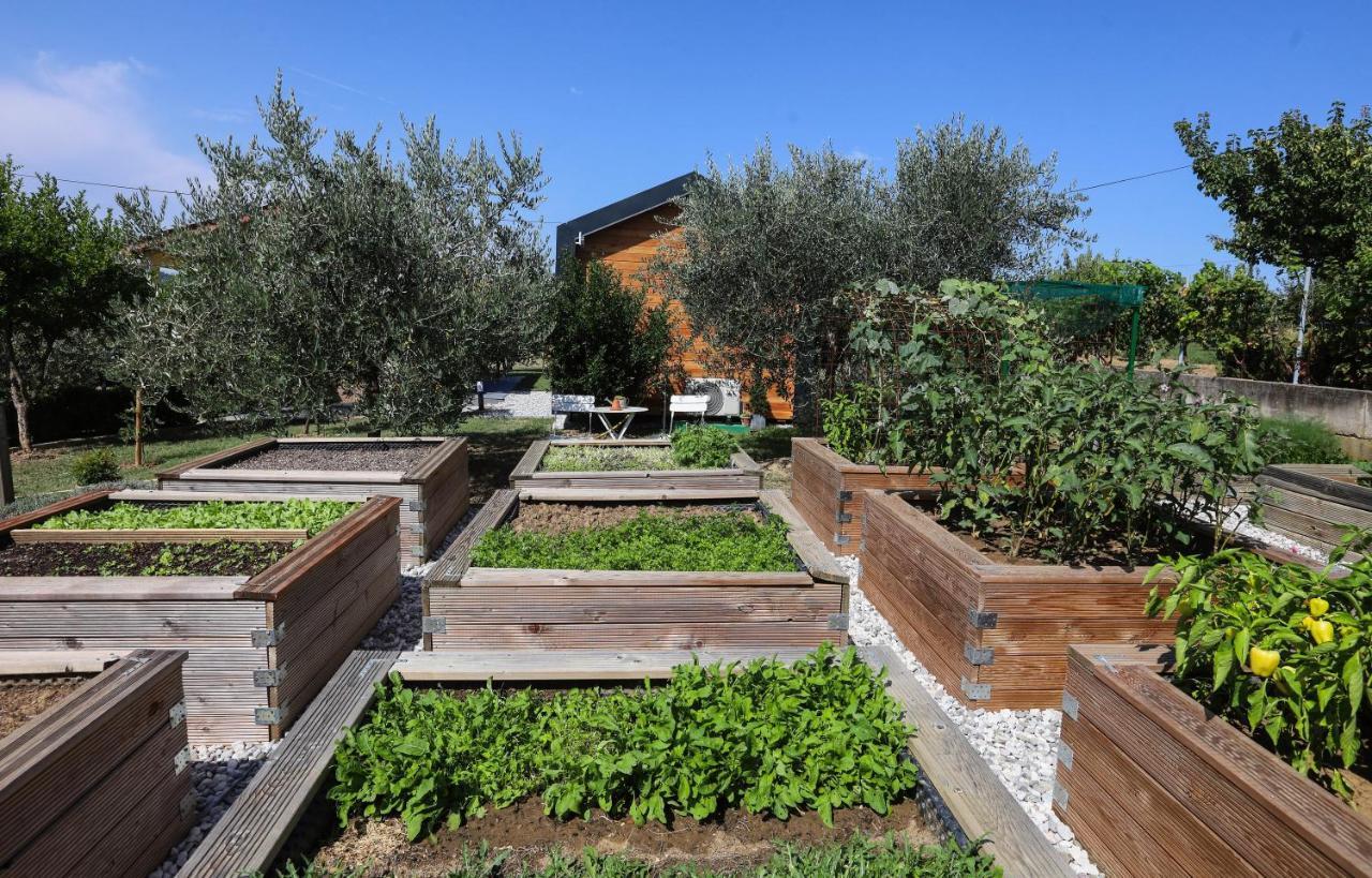 Healthy House Glamping Capodistria