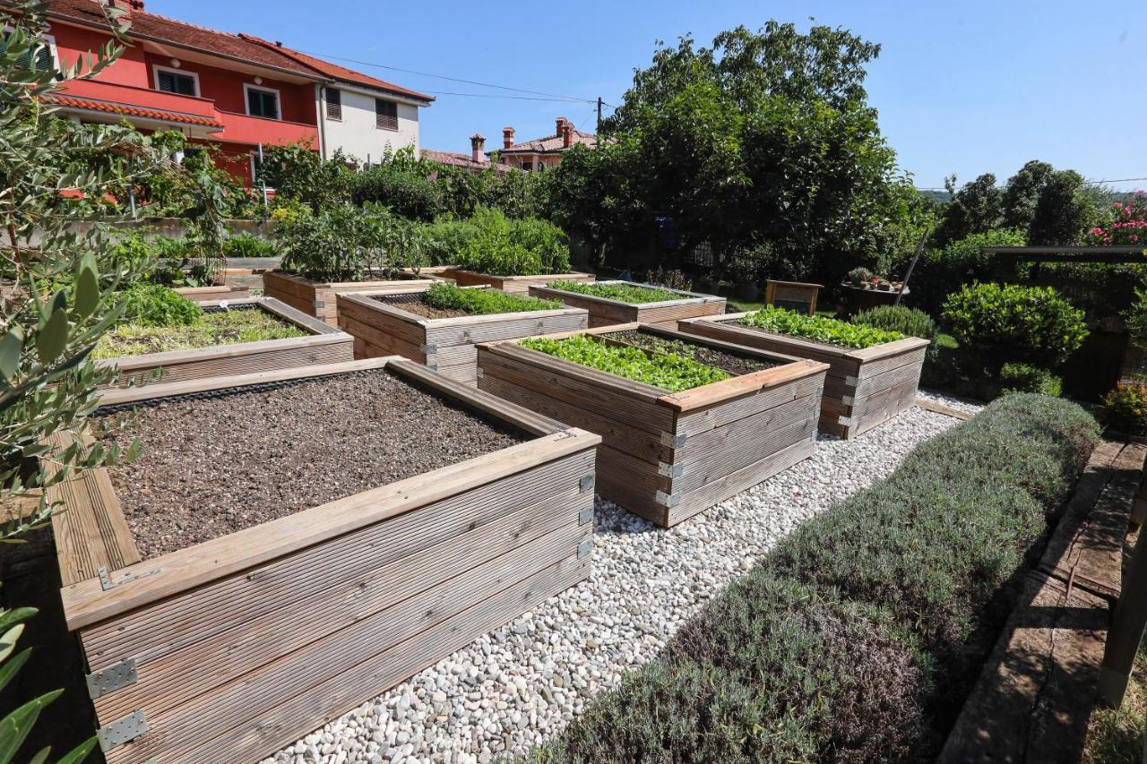 Campeggio Healthy House Glamping Capodistria